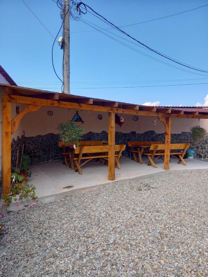 Casa Loredana Cîrţişoara المظهر الخارجي الصورة