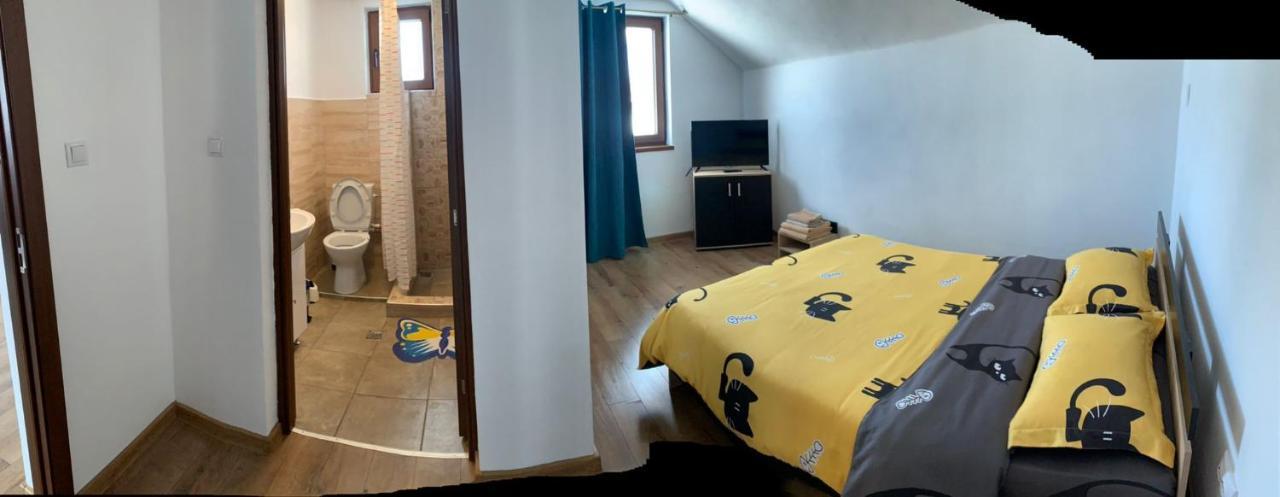 Casa Loredana Cîrţişoara المظهر الخارجي الصورة
