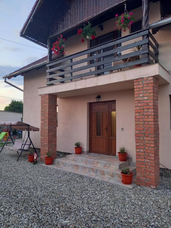 Casa Loredana Cîrţişoara المظهر الخارجي الصورة