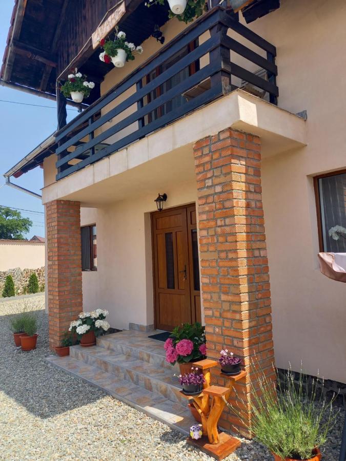 Casa Loredana Cîrţişoara المظهر الخارجي الصورة